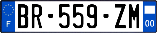 BR-559-ZM