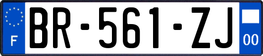 BR-561-ZJ