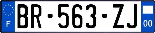 BR-563-ZJ