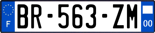 BR-563-ZM