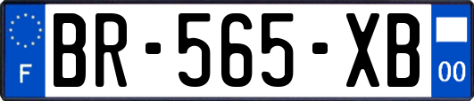 BR-565-XB
