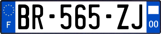 BR-565-ZJ