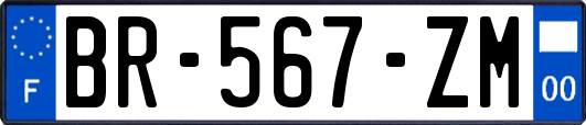 BR-567-ZM