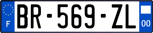 BR-569-ZL