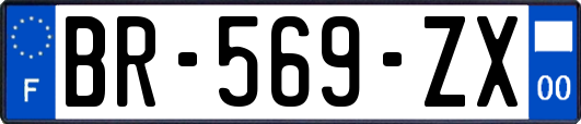 BR-569-ZX