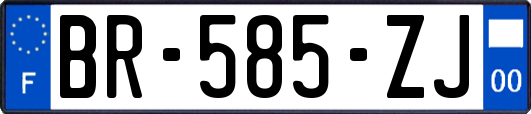 BR-585-ZJ