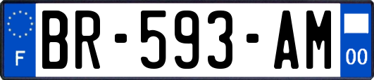 BR-593-AM