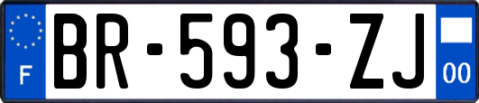 BR-593-ZJ
