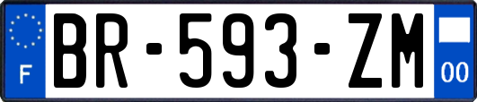 BR-593-ZM