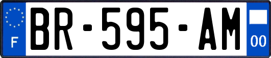 BR-595-AM