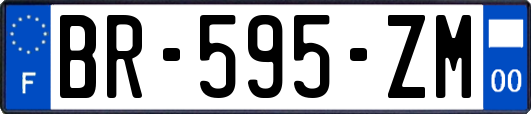 BR-595-ZM