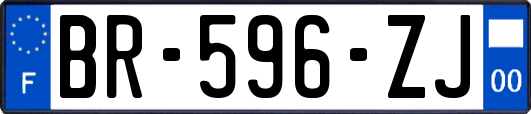 BR-596-ZJ