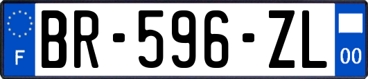 BR-596-ZL