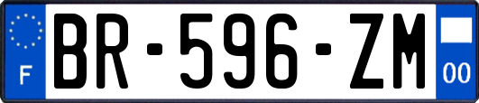 BR-596-ZM