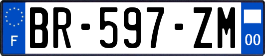 BR-597-ZM