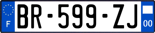 BR-599-ZJ