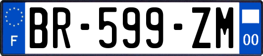 BR-599-ZM