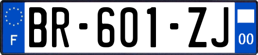 BR-601-ZJ