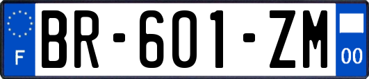 BR-601-ZM