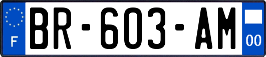 BR-603-AM