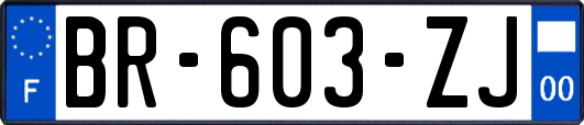 BR-603-ZJ
