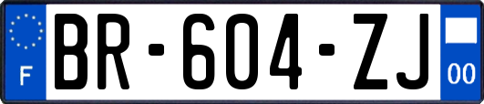 BR-604-ZJ