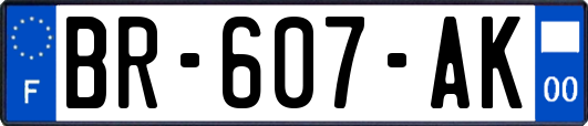 BR-607-AK