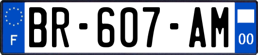 BR-607-AM