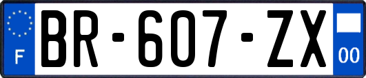 BR-607-ZX