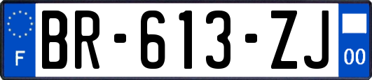 BR-613-ZJ