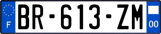 BR-613-ZM