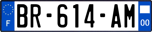 BR-614-AM