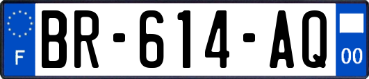 BR-614-AQ
