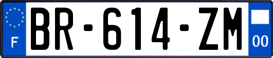 BR-614-ZM