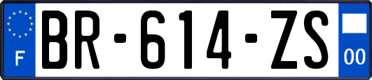 BR-614-ZS
