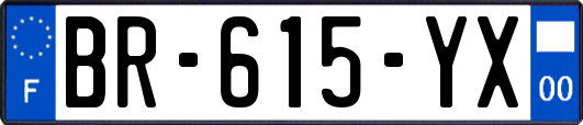 BR-615-YX