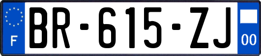 BR-615-ZJ