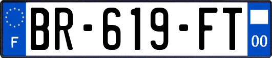 BR-619-FT