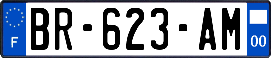 BR-623-AM