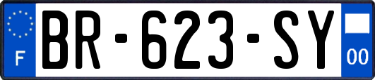 BR-623-SY