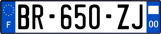 BR-650-ZJ