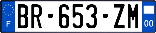 BR-653-ZM