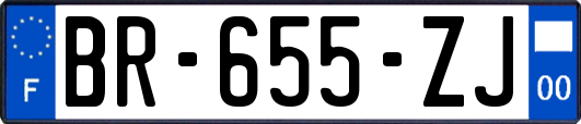 BR-655-ZJ