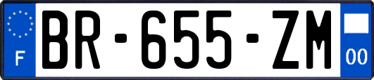 BR-655-ZM