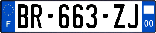 BR-663-ZJ