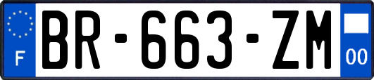 BR-663-ZM