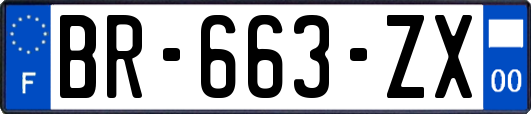 BR-663-ZX