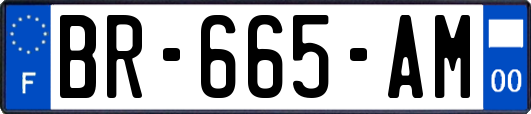 BR-665-AM
