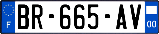 BR-665-AV