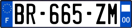 BR-665-ZM